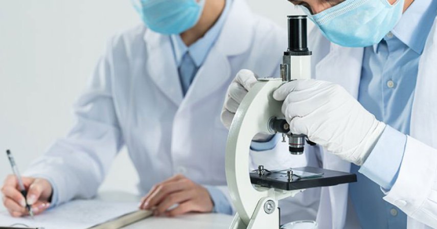 Technical Specialist