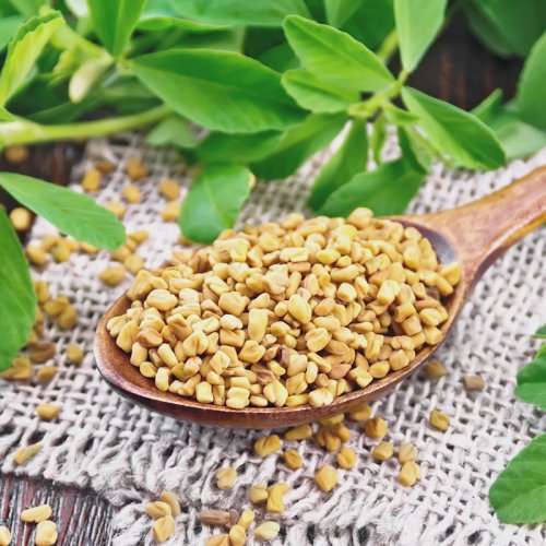 Fenugreek Seed Extract