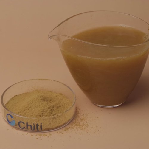 Ginkgo Biloba Extract