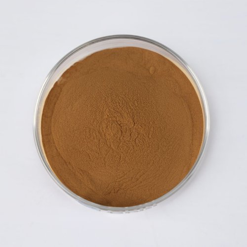 Hibiscus Flower Extract