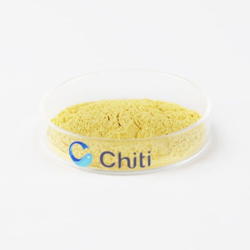 Sea Buckthorn Fruit Powder