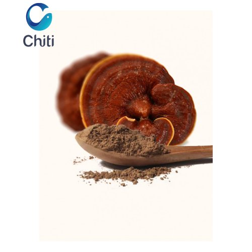 Ganoderma Lucidum Alcohol Extract (Pure Powder)