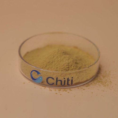 Ginkgo Biloba Extract