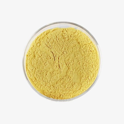 Sea Buckthorn Fruit Powder