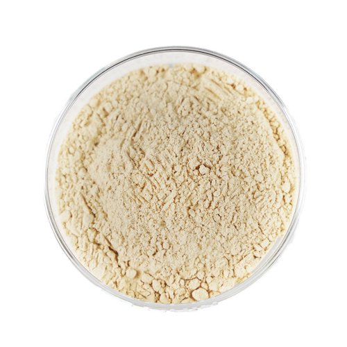 Lion's Mane Mushroom Powder