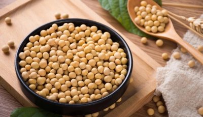 Health New Favorites : Soy protein peptide