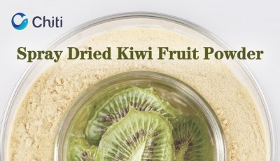 Spray dried Kiwi Fruit Powder: Taste green vitality