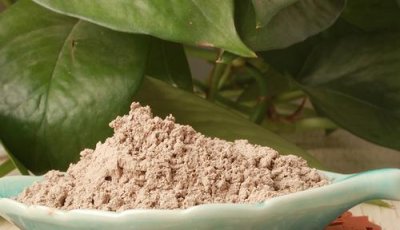 Spray dried cordyceps powder - Taste natural luxury，brim with the power of life