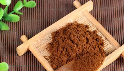 Spray Dried Ganoderma Lucidum （Reishi） Powder