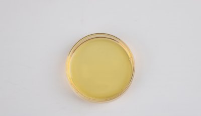 Concentrated Apple juice:  A crafty presentation of nature's essence