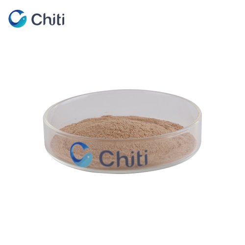 chocolate collagen peptides powder