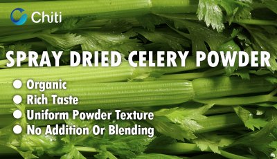 Spray-Dried Celery Powder - A Pure And Natural Healthy Ingredient