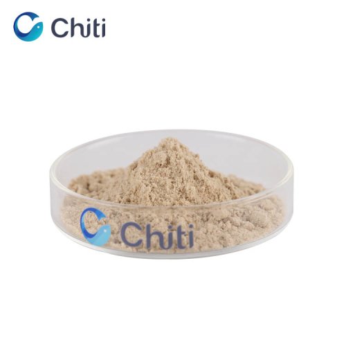 Psyllium Husk Powder