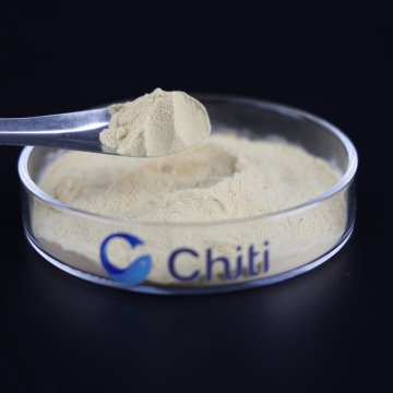Discover the Magic of Chiti Yeast Extract