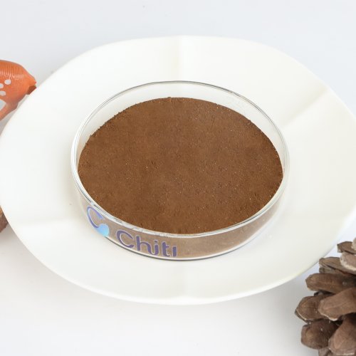 Ground Cinnamon (Cinnamomum zeylanicum)