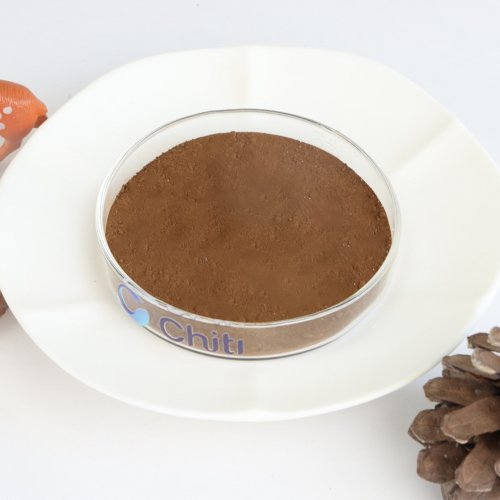 Ground Cinnamon (Cinnamomum zeylanicum)