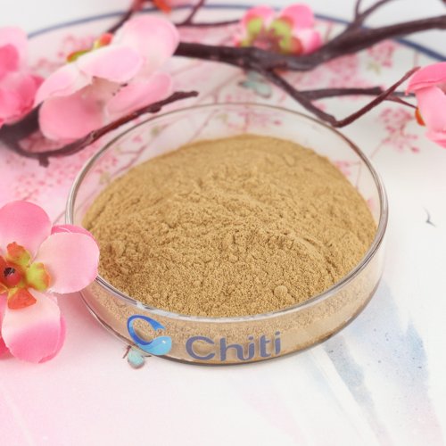 Phyllanthus Emblica L. (AMLA) Extract