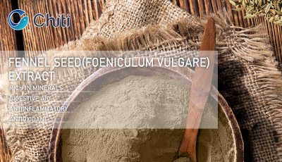 Fennel Seed Extract: Big Energy In A Small Seed