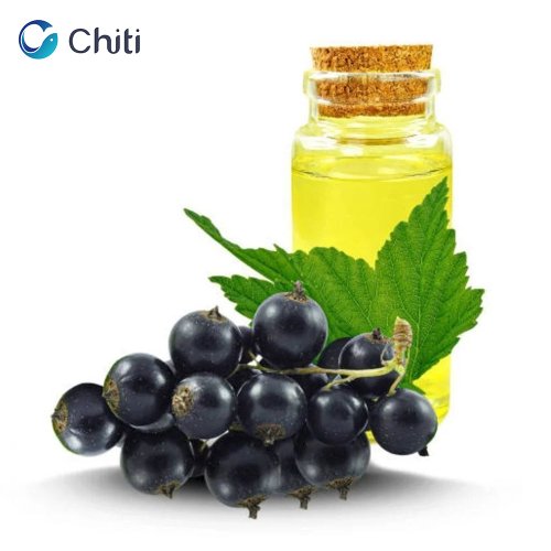 black currant seed oil