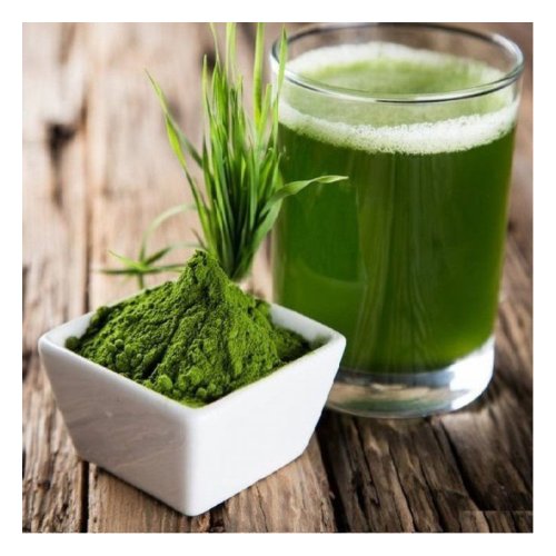 Freeze-dried barley grass powder