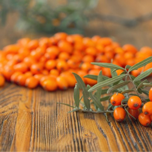Sea Buckthorn Juice