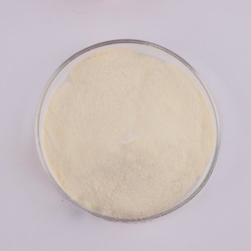 Probiotic Metabolites