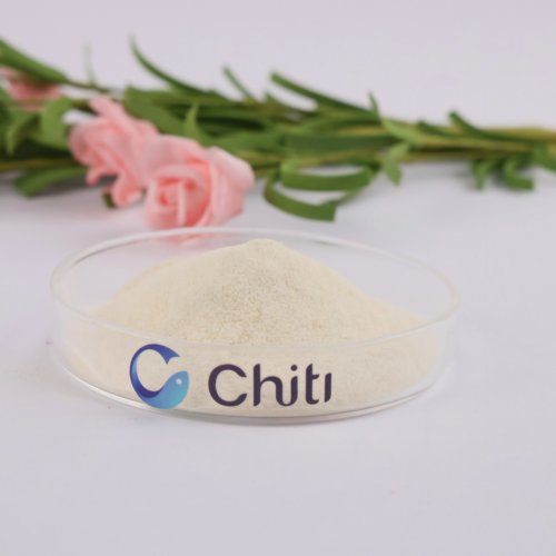 Probiotic Metabolites