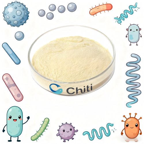 Probiotics Mix Powder